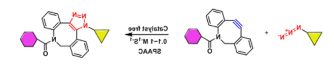 生物正交化学DBCO、BCN、Azide、Alkyne、TCO等生物正交反应试剂
