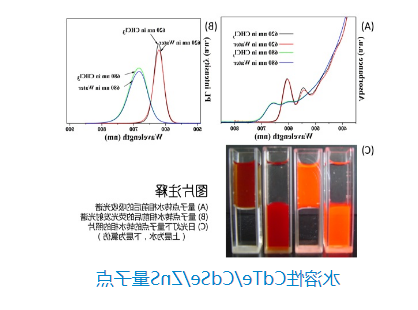 水溶性CdTe/CdSe/ZnS量子点，表面由亲水配体包裹的核/壳/壳型荧光纳米材料