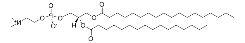 18:0-16:0 PC,CAS:59403-53-1,1-硬脂酸-2-棕榈酰磷脂酰胆碱的实验应用实例